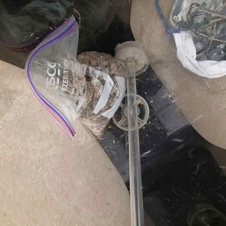 Photo of free Fish tank and accessories (Cainscross Rd nr Homebase GL5) #2