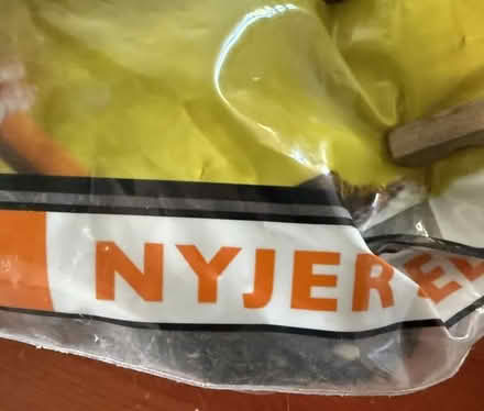 Photo of free Nyjer Seed (Cupertino - DeAnza and 280) #2