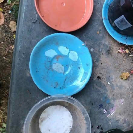 Photo of Old Saucers for plants (Brundall NR13) #1