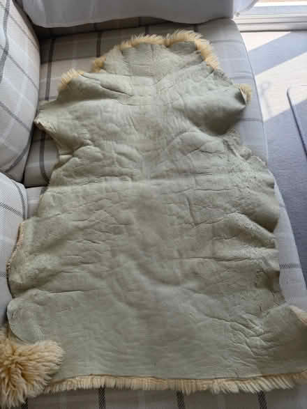 Photo of free Genuine fleece rug (Sheringham, Norfolk NR26) #2