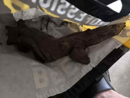 Photo of free Bog wood for fish tank (Long Eaton NG10) #1