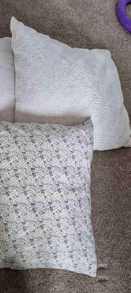 Photo of free 3 x cushions (Penrith CA11) #2