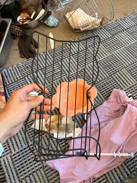 Photo of free kitty recovery goody bag (Ballard) #3