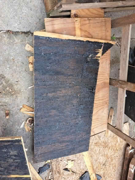 Photo of free Marine ply pieces or firewood (Heswall CH60) #2