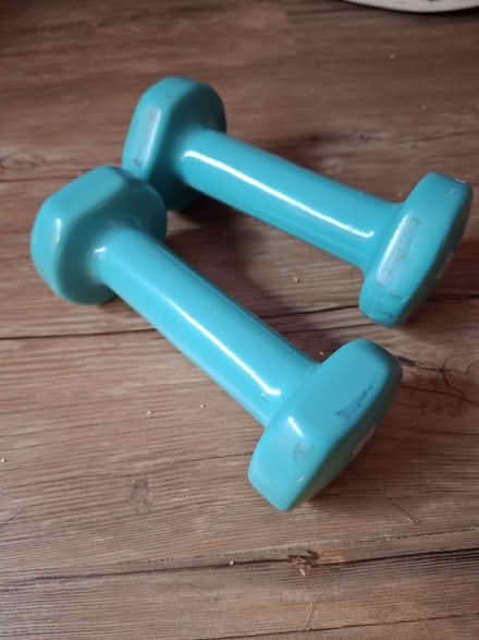 Photo of free Mini 1kg dumbells (Churchill Square area BN1) #1