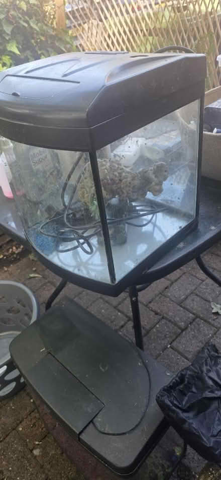 Photo of free Fish tank (Woking GU21) #3