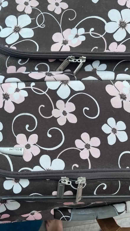 Photo of free Two suitcases (Wotton-under-edge) #4