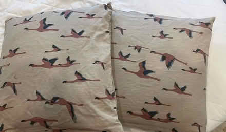 Photo of free Cushions approx 50x50 cm (Ballyfermot) #1