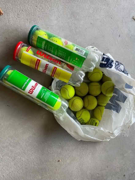 Photo of free Lots of tennis balls (Galgate LA2) #1