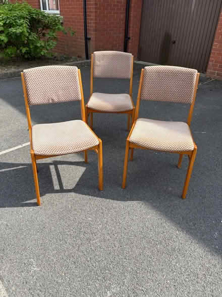 Photo of free Three dining chairs (Horfield Bristol BS7) #1
