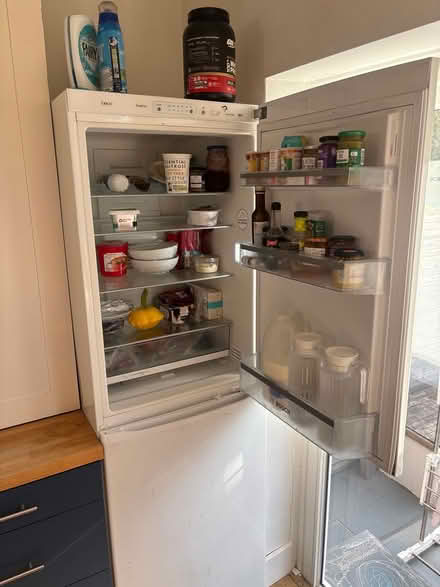 Photo of free Fridge freezer (Hampton TW12) #3