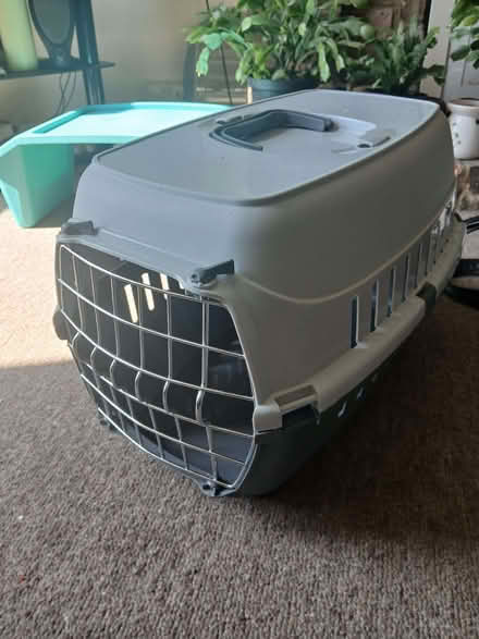 Photo of free Cat carrier (West Hill TN34) #1