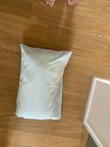 Photo of free Old pillow (Benhall GL51) #1