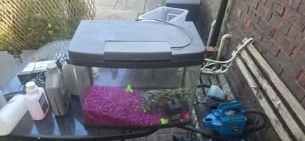 Photo of free Fishtank (Woking GU21) #1