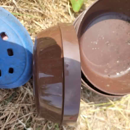 Photo of free 6 stackable plastic picnic dishes (Horsley GL6) #2