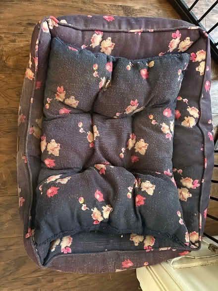 Photo of free Medium dog bed (Old Basford NG6) #1