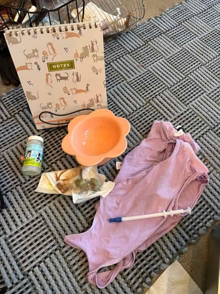 Photo of free kitty recovery goody bag (Ballard) #1
