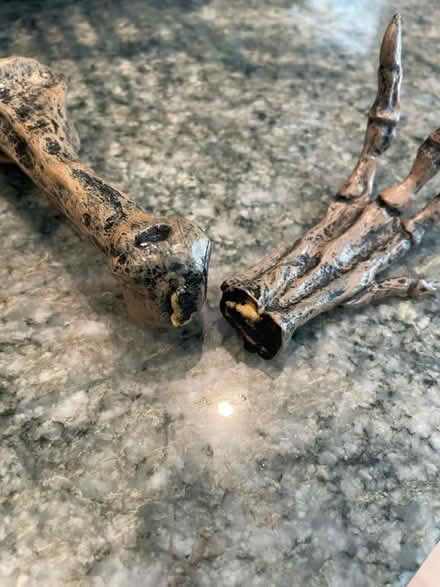 Photo of free Plastic TRex model (Belmont heights) #3