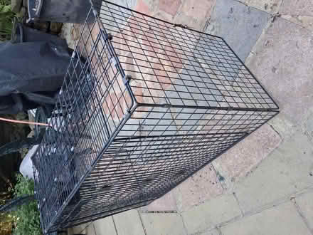 Photo of free Fire guard (Coxheath ME17) #1
