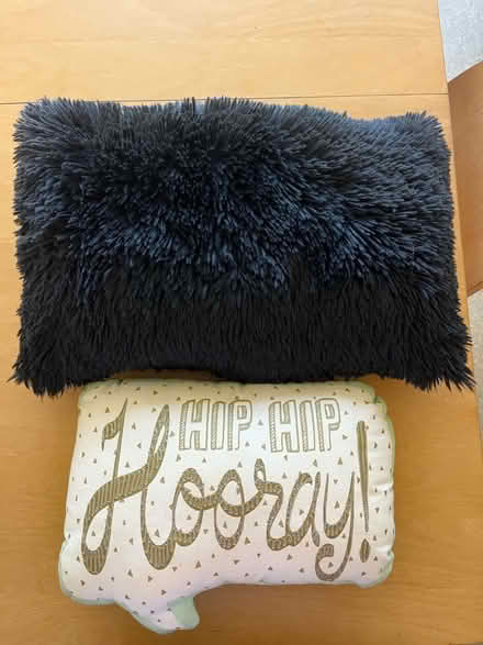 Photo of free Pillows (Sunny arts area) #1