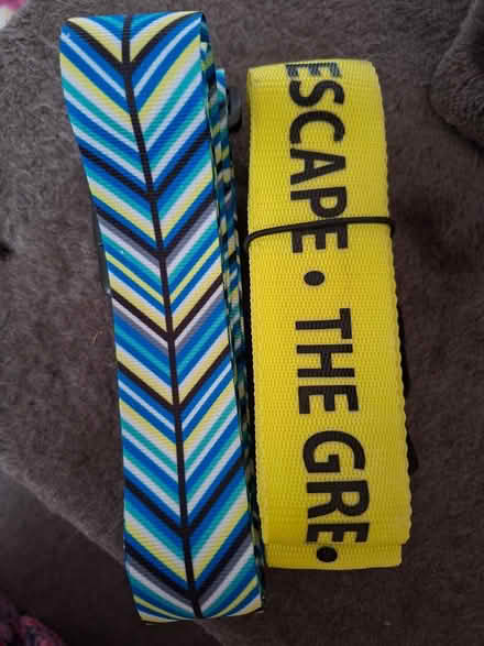 Photo of free Suitcase strap, Old Woking (Woking, GU22) #1