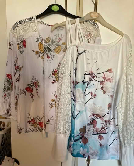 Photo of free Ladies tops (Swindon SN5) #1