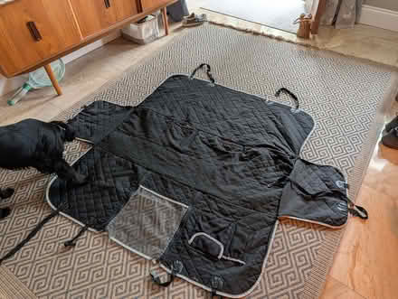 Photo of free back seat dog hammock (Wistaston CW2) #1