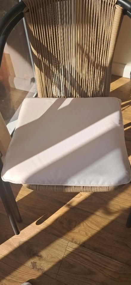Photo of free Garden furniture cushions (Galleywood, CM2) #3