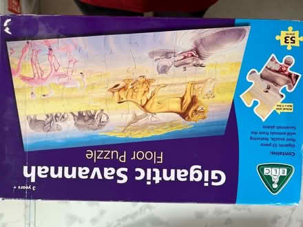 Photo of free Giant savannah floor puzzle (Westbrook WA5) #1