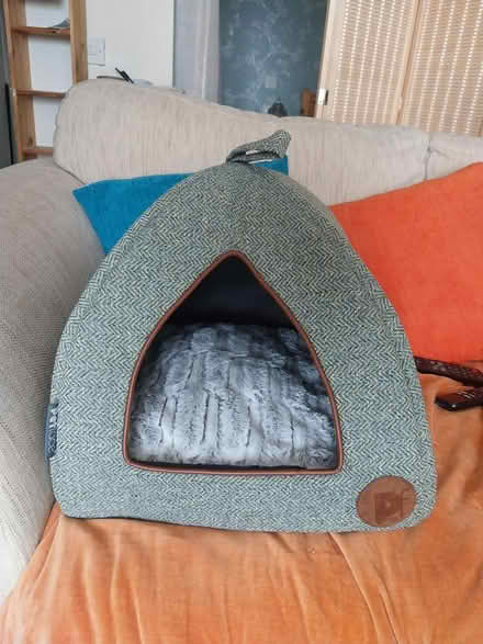 Photo of free Cat stuff (CH44 Egremont) #2