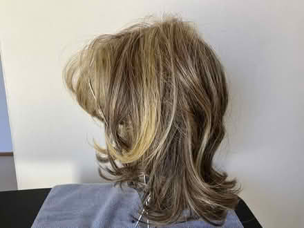 Photo of free Women's Synthetic Wig (shorter) #2