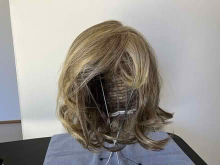 Photo of free Women's Synthetic Wig (shorter) #1