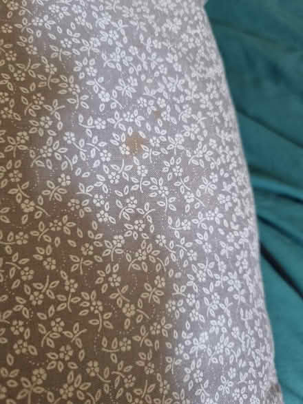 Photo of free Grey Book cushion. Washed.. (Alperton HA0) #4