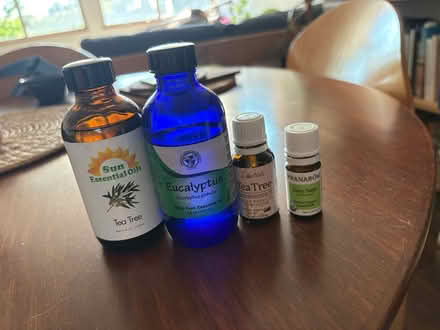 Photo of free essential oils (Ballard) #2