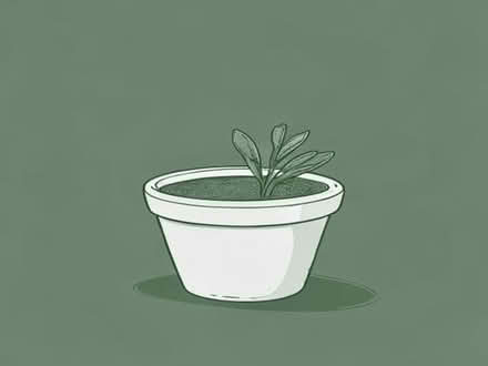 Photo of Planter Pots (Cockfosters N14) #1