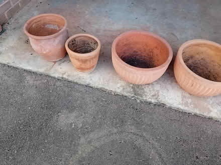 Photo of free Terracotta plant pots (Callow Hereford HR2) #1