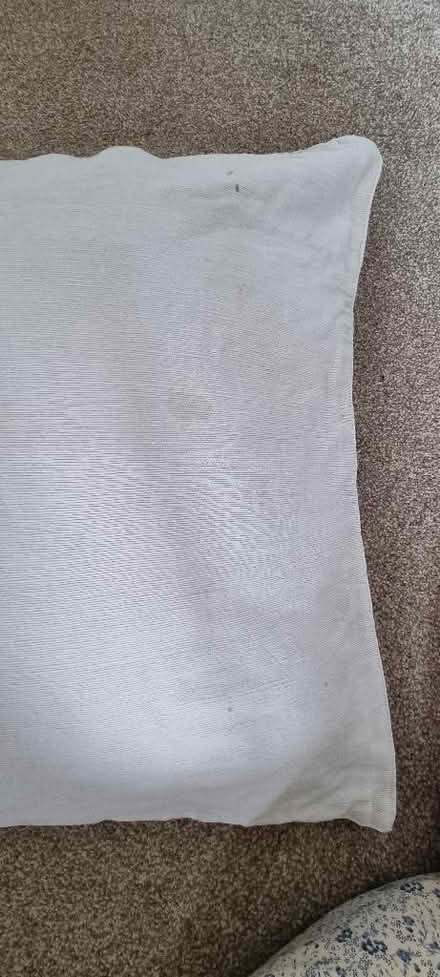 Photo of free 3 x cushions (Penrith CA11) #3
