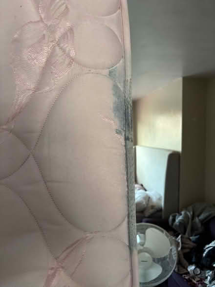 Photo of free Single Mattress (Radford NG8) #3
