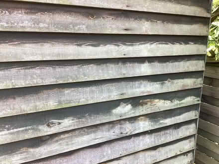 Photo of free 10 foot x 6 foot shed needing some TLC (Priestwood RG42) #4