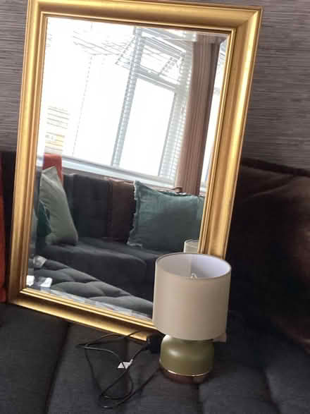 Photo of free Mirror & lamp (Horsey Hill NE34) #1