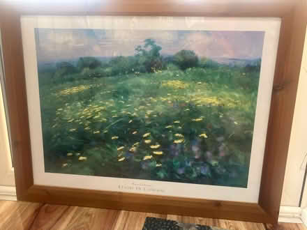 Photo of free Landscape print with frame (Douglas) #1