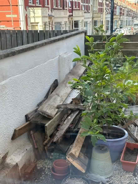 Photo of free Old decking planks (Easton BS5) #1