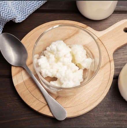 Photo of Kefir grains, water or milk based (Rochester ME1) #1