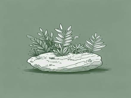 Photo of Rockery Plants (Gobowen SY11) #1