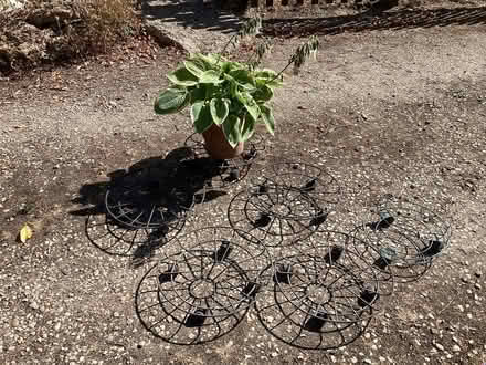 Photo of free Lage plant pot caddies (East End OX29) #1