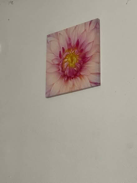 Photo of free Floral design canvas x2 (Greenford UB1) #1