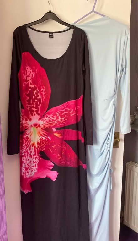 Photo of free Ladies dresses (Swindon SN5) #2
