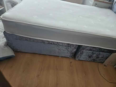 Photo of free small double (Bebington CH63) #1