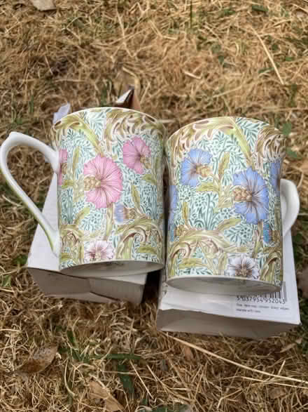 Photo of free 2 mugs (Cam GL11) #1