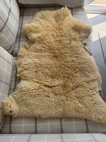 Photo of free Genuine fleece rug (Sheringham, Norfolk NR26) #1